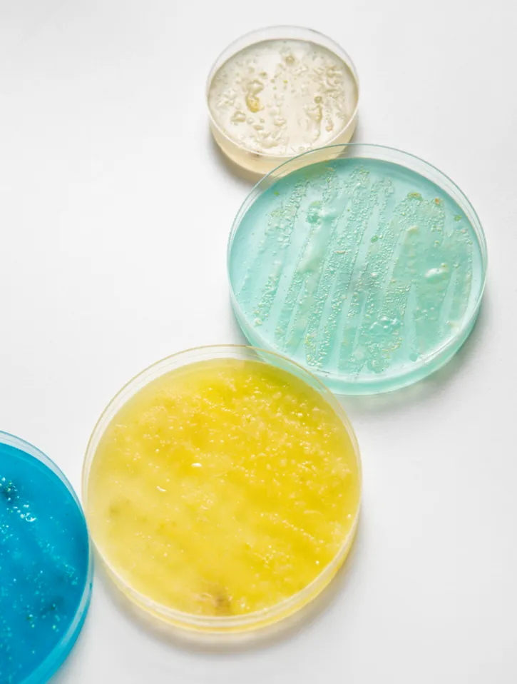 Cosmetic Chemicals